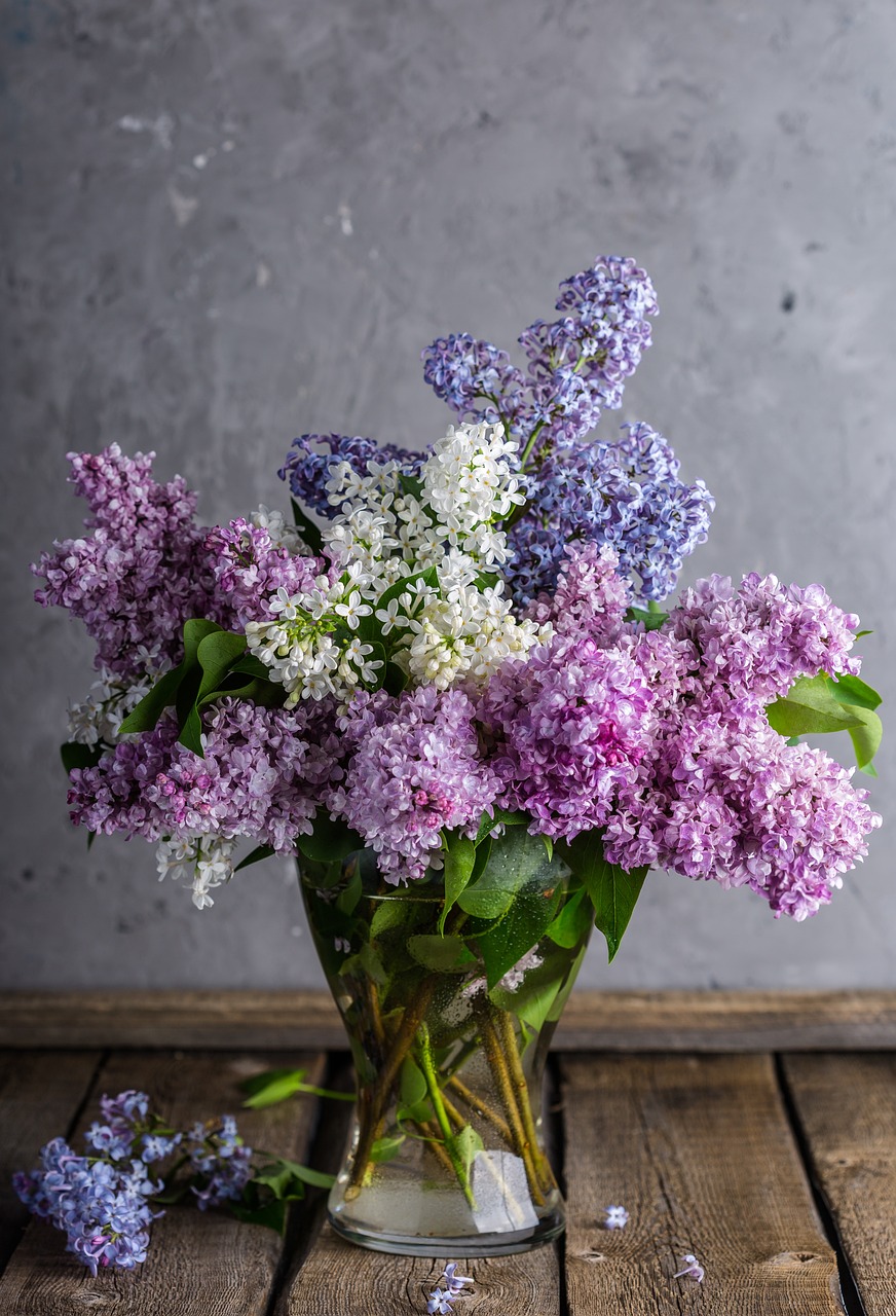 lilacs-1914124_1280