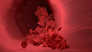 red-blood-cells-4256710_1280