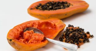 papaya 771145 1280