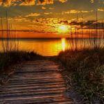 11210433_739907482784776_1706841935359163817_n