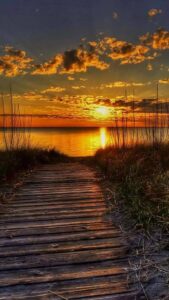 11210433_739907482784776_1706841935359163817_n