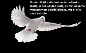 3409_428005703901213_1779198781_n