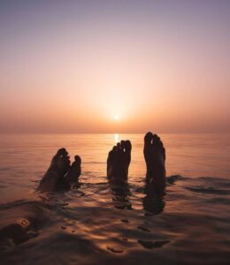 50626172_2563106257049691_7075602472881881088_o