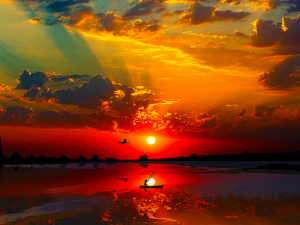 560104_159865297512342_1805607126_n