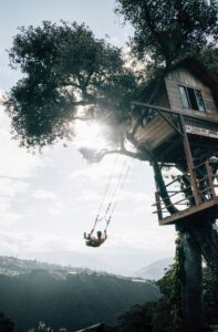 61635762_10220668083866665_5220656735403900928_o