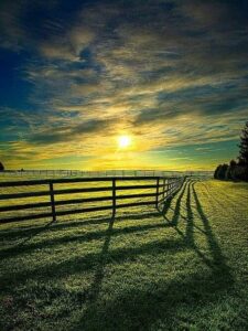 75233421_2390348964407278_7701531443024887808_n