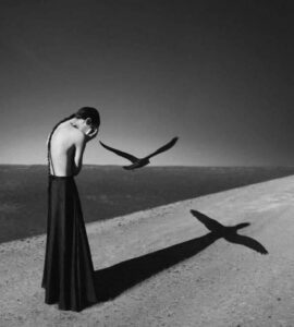 82612022_2540405409401632_7605943694562164736_n