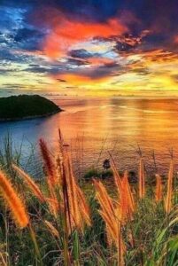 83302661_2534246633350843_7487253527467655168_n