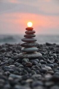 88166312_2634021116706727_6745116980111474688_n