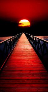 90157694_2663646500410855_5329302344087633920_o