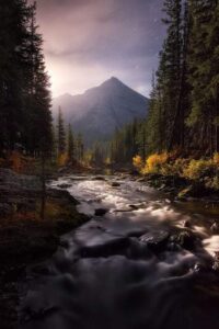 90885184_2680194612089377_3659494423193976832_n