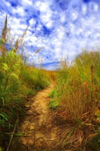 93886917_2726099214165583_9096896395427708928_n