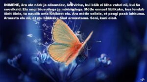 95108464_111667397196940_1891632970163290112_n