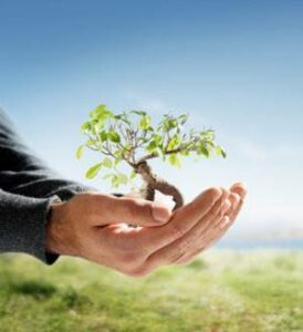 95897221_116959356667744_854520319480692736_n