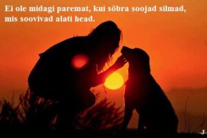 96377278_115932446770435_5281544030037999616_n