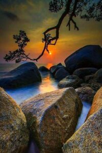 96793755_2794761850632652_8664233433116966912_o