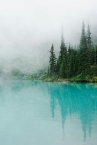 97072267_120872336276446_3910015437458374656_o