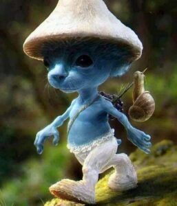 1472991_10201613620676994_1903024272_n-480x560