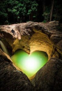 34606682_10214178091340908_7332166738059984896_n