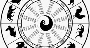 5217008 vector illustration of a chinese horoscope wheel with years 850x560 1