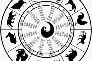 5217008 vector illustration of a chinese horoscope wheel with years 850x560 1