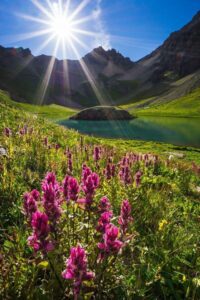 96755968_2778061368969367_5572015550189535232_o