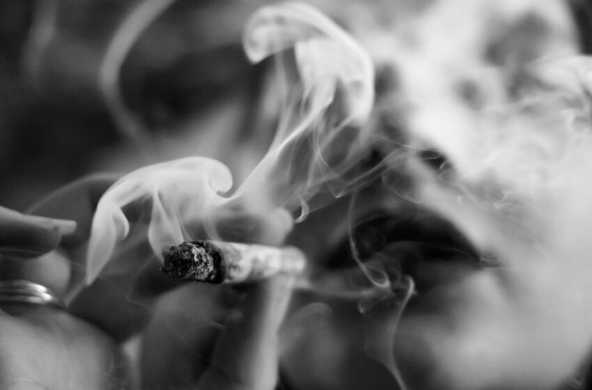 dimitri-bang-1532686-unsplash-850x560