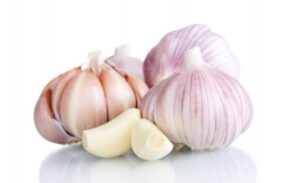 garlic3