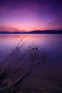 101141220_1652698561562334_2308197377141374976_o_1652698558229001