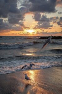 107104811_2934757909966378_2947556775884599695_n