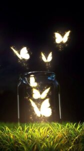 36681163_10214622198363306_7360035616907591680_o