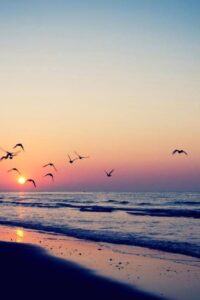 38033455_10215118063119615_8235198038839132160_n