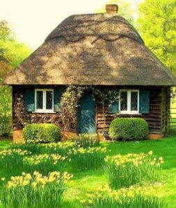 94121975_1610922779073246_2676625719106207744_n_1610922775739913