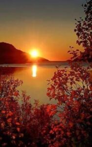 117982704_3056524974456337_4707767499278001612_n