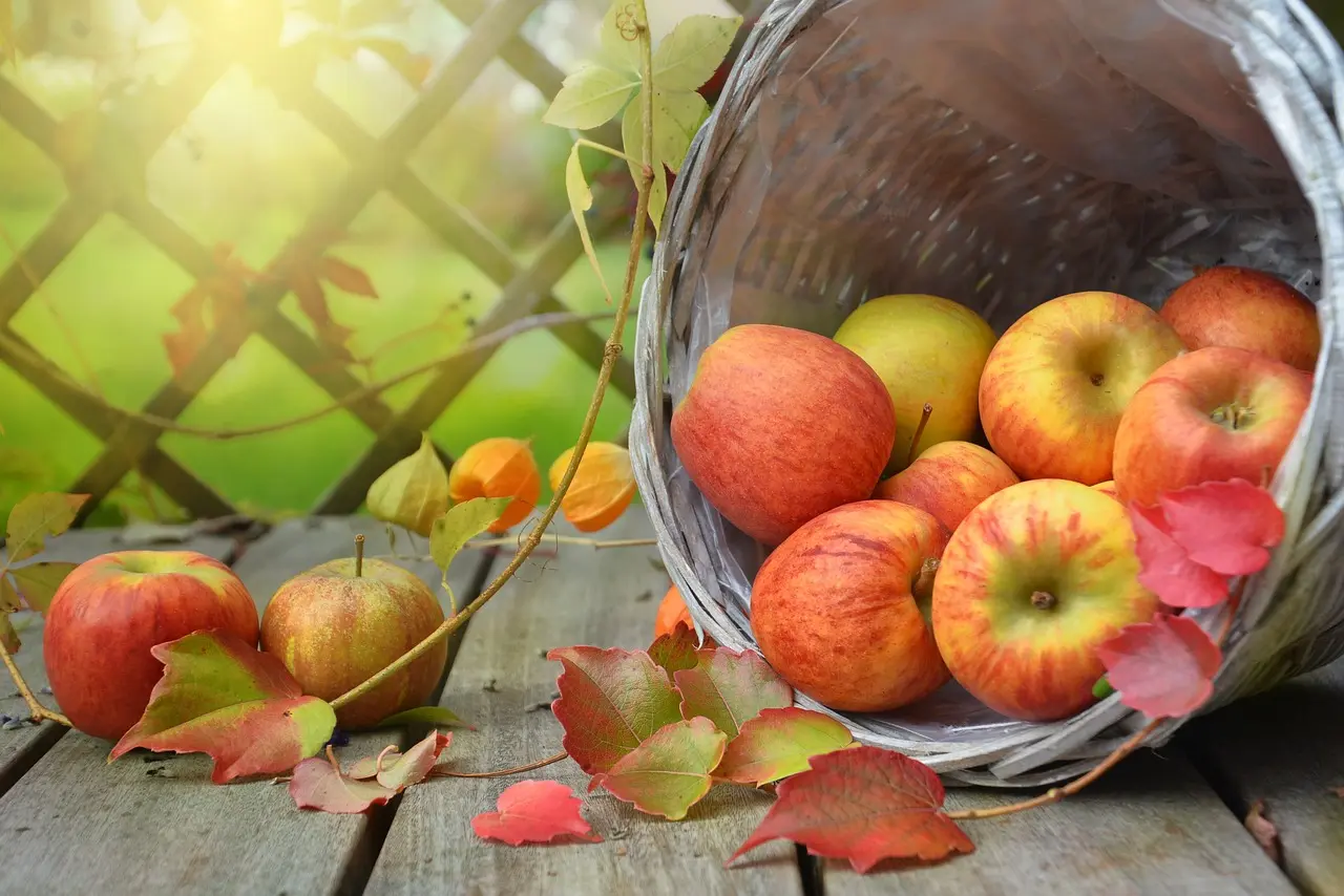 apples-1776744_1280