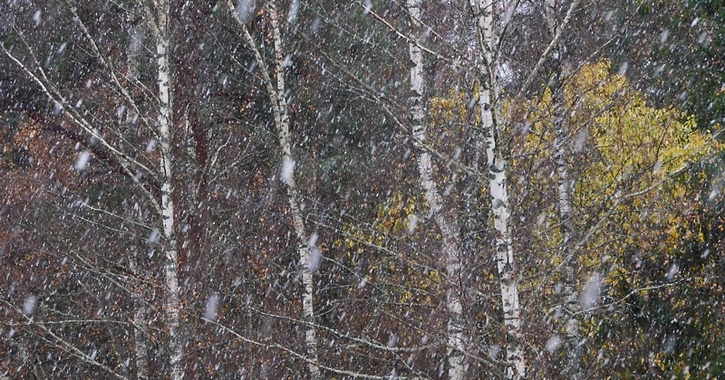 esimene lörts