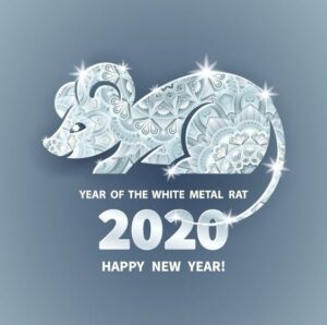 white-rat-564x560