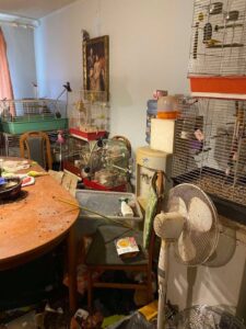 124177932_2809294246058057_213164363647169057_o (1)