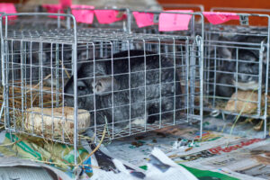 127159291_1304315476577040_5751591156974346363_o