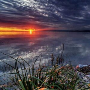 72723641_10222087103781276_6579662805371191296_n