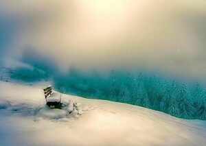 1472778_10201626921369503_1235967728_n