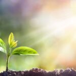 Daily Message – Wednesday, October 29, 2025 2 Nädala Sõnum