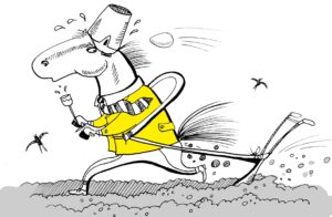 167613433_3758871817494067_5166070723604982840_n