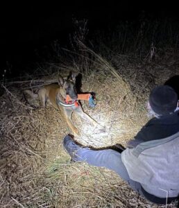 176098790_2445300248949176_6480819732314682190_n