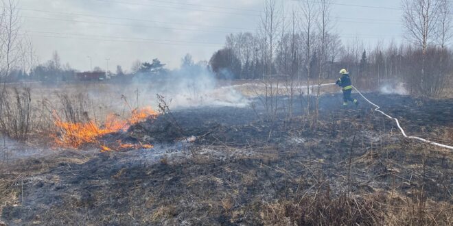 25.03 Valga Rukkeli kulu