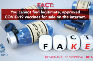 Infographic 1 Online Vaccines Fact light