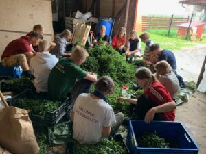 Tallinna-OM-Vissuvere-ruhm-toopollul_foto-Opilasmalev