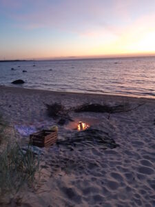 Kaitsealal on lõkke tegemine selleks ettevalmistamata kohas keelatud. Foto Keskkonnaameti pildipank