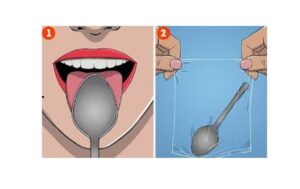 mustpeanälkjas-ja-hipaania-teetigu_keskkonnaamet-Maris-Sepp