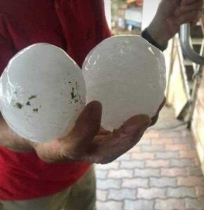 225013081_4137611826314524_3738177596297818996_n